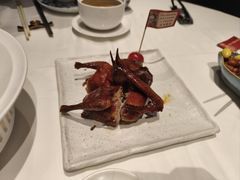 -侨美食家·40年地道粤菜(珠江新城店)