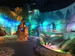 -沈阳海洋探索中心