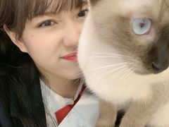 -喵园·猫主题咖啡厅·撸猫·猫咖(国贸店)