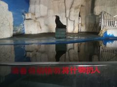 -泉州海丝野生动物世界