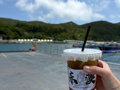 -东澳岛