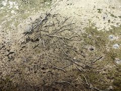 -北海金海湾红树林生态旅游区