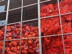 -雅鲁激流探险漂流