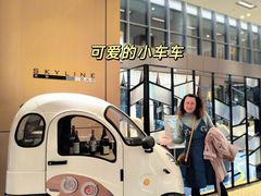 -上海佘山世茂艾美酒店