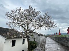 -台州府城(江南长城)