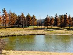 -黄海国家森林公园