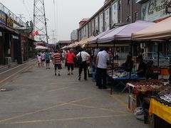 -中环花鸟鱼虫市场