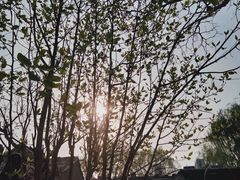 -三里河公园