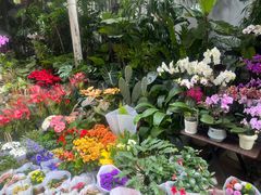 -循礼门鲜花花市(武汉循礼门店)