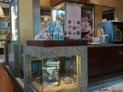 -西点坊(浦东香格里拉店)