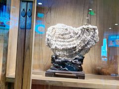 -紫光园(顺义店)