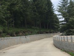 -苏木山森林公园