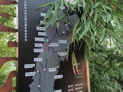 -南山植物园