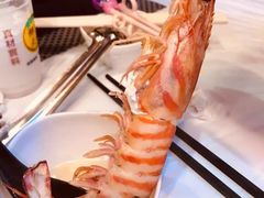 -鲜入围煮花胶鸡海鲜火锅