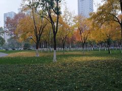 -西北湖绿化广场