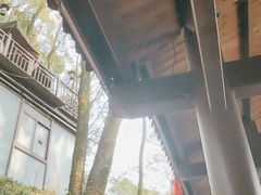 -巴倒烫陆派重庆火锅(南山店)