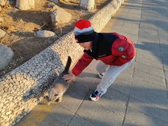 -天毓山庄·餐厅