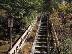 -西芳寺(苔寺)