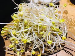 豆芽-白乐天毛肚火锅馆(解放碑店)