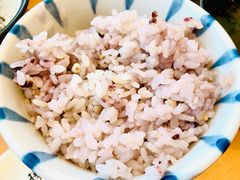 杂粮饭-胜博殿日式炸猪排(西红门店)