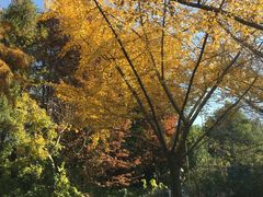 -东怡大酒店(上海科技馆店)