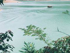-广州市流溪河国家森林公园