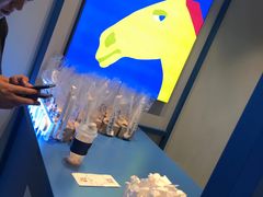 -春丽小马(济南恒隆广场店)