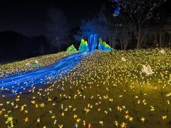-洛阳市隋唐城遗址植物园