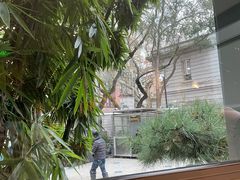 -星巴克(汾阳路店)