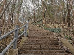 -紫金山山顶公园