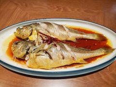 油泼黄花鱼-波螺油子青岛本帮菜(银座店)