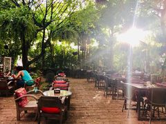 -Fern Forest Cafe