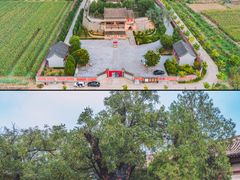 -白台寺