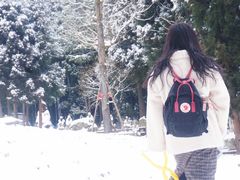 -武陵山森林公园