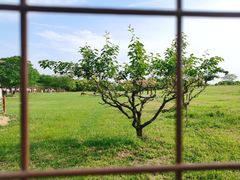 -良渚古城遗址公园