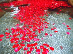 -厦门日月谷温泉渡假村