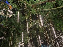 -闽江夜游台江旅游码头