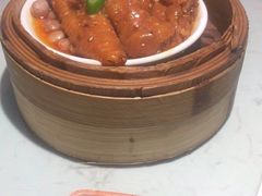 -南枝记