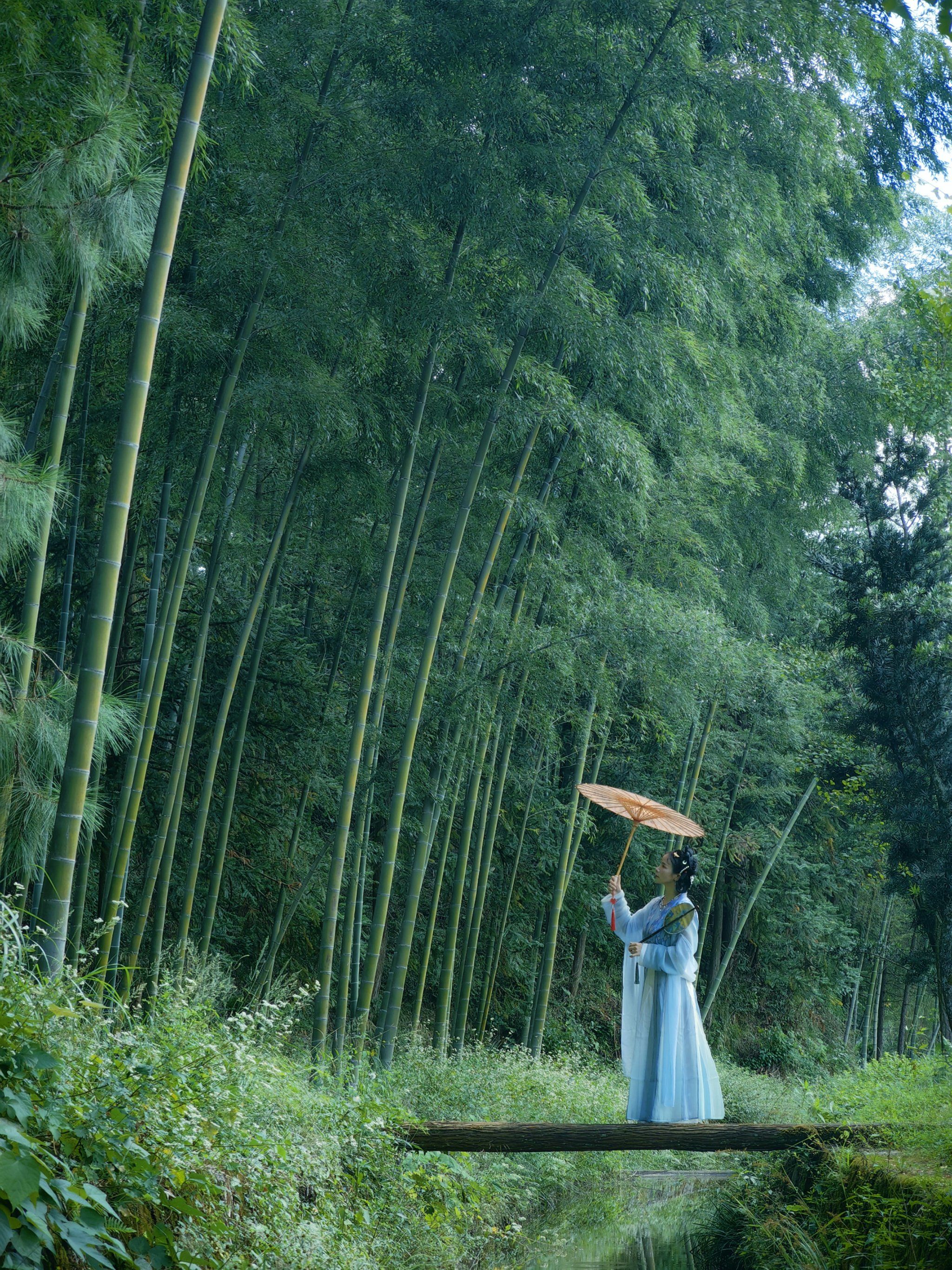 南昌周边的竹海民宿!千万不要来!