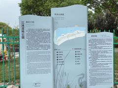 -江滩湿地公园