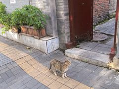 -增盛魁小吃店