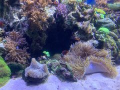 -珠海长隆海洋王国