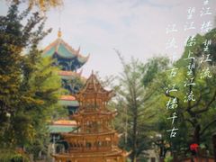 -望江楼公园