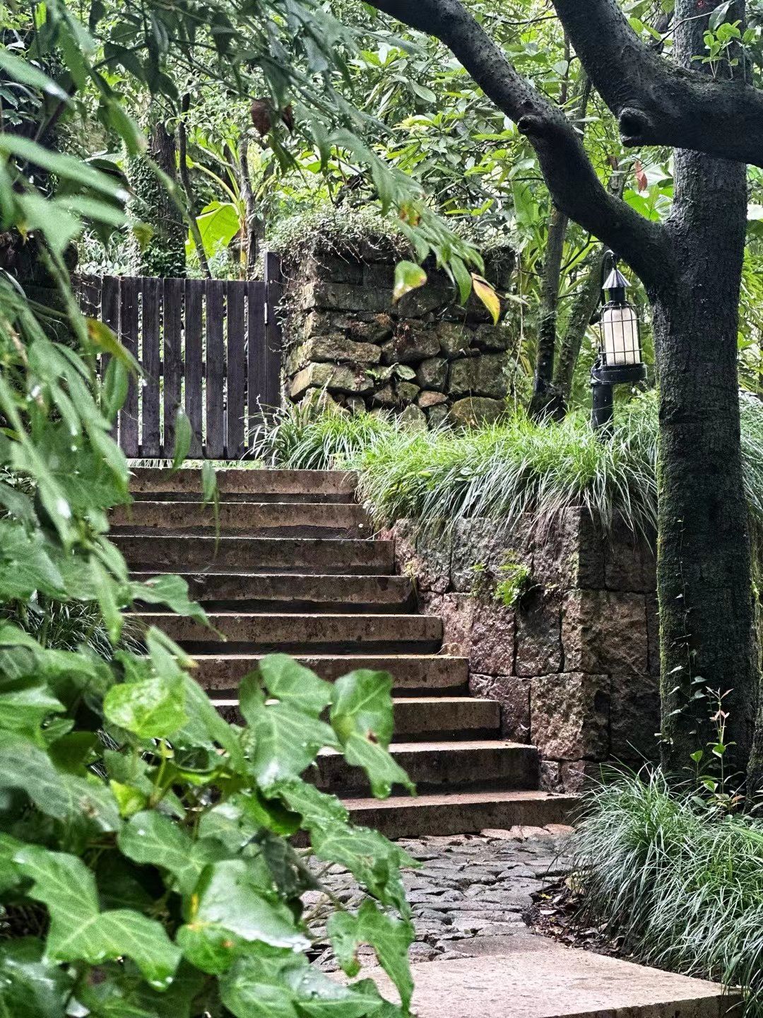 曲径通幽的山间路