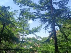 -崂山巨峰游览区