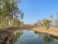 -东郊湿地公园