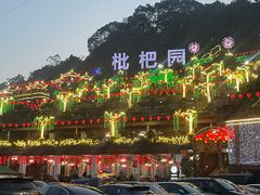 -枇杷园食为鲜火锅(南山店)
