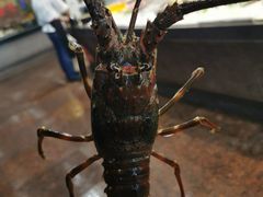 -御同亨酒楼·喜宴