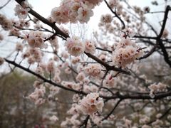 -北京水岸山吧度假村(雁栖镇店)