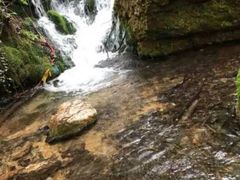 -王顺山国家森林公园
